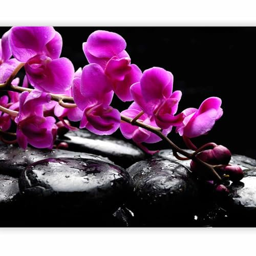 murando - Vlies Fototapete Orchidee Zen 200x154cm - Foto Tapete Schlafzimmer Wohnzimmer Moderne Vliestapete XXL Wandtapete Motivtapeten 3d Effekt Wand Dekoration - Blumen Spa Wellness Steine