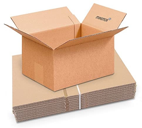 Master'in - Caisse carton simple cannelure - Brune - 250 x 180 x 140 mm - Lot de 20 caisses