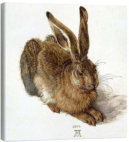 Posterlounge Hase Leinwandbild von Albrecht Dürer 50 x 50 cm Braun Wandbilder Wanddeko