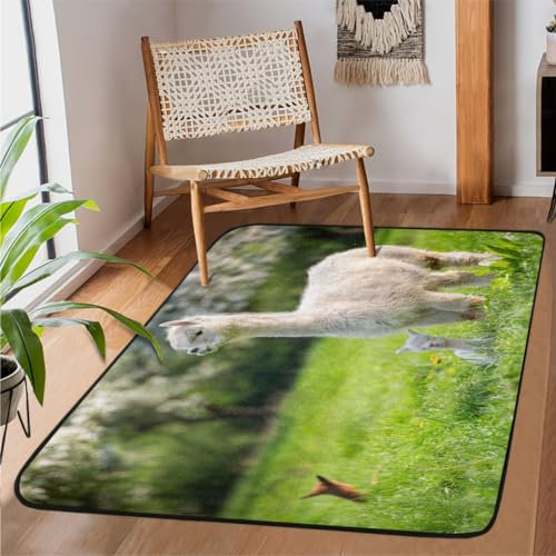Säugetier Alpaka-Teppiche für Wohnzimmer, 122 x 160 cm, niedlicher Alpaka-Lama-Teppich für Schlafzimmer, Kinderzimmer, maschinenwaschbar, rutschfeste Bodenmatte, großer Teppich