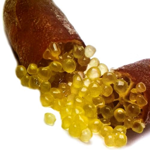 Pianta vera di Limone caviale Bruno - Diametro Vaso Ø 20 cm