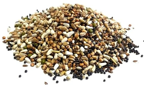 500g Pigeon Condition Seed Mixed Bird Food SJJ