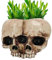 Rianpesn Totenkopf Pflanze Übertopf, Harz-Blumen-Sukkulenten-Topf-Pflanzer-Schädel-Kopf-Blumentopf, Sammlerstück Menschliches Skelett Statue Ornament Par Dekoration für Home Decor