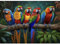 HUADADA -Jigsaw Puzzles for Adults 1000 Piece Colorful Parrot 1000 Piece Jigsaw Puzzles for Adults Gifts