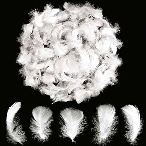 Gleemix 100 Stück Weiße Federn Zum Basteln, Natürlich Federn Weiß 8-12cm, Basteln & DIY Weisse Feder, Traumfänger Engelsflügel Engelshaar Federboa, Für Bob Ballon Füllung Hochzeit Deko Fasching Masken