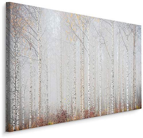 Muralo Leinwandbilder 100x70 Natur Wald Pflanzen Leinwand Wandbild Kunstdruck Bäume Birken Borke Stämme Schlafzimmer Wohnzimmer Wanddekoration Design XXL 340 Br. 100 cm x Hö. 70 cm
