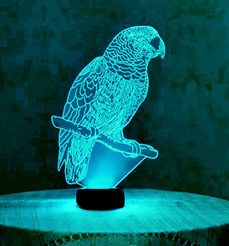 Jinson well 3D Papagei Vogel Nachtlicht led Lampe optische Nacht licht Illusion 7 Farbwechsel Touch Switch Tisch Schreibtisch Dekoration Lampen mit Acryl Base USB Spielzeug