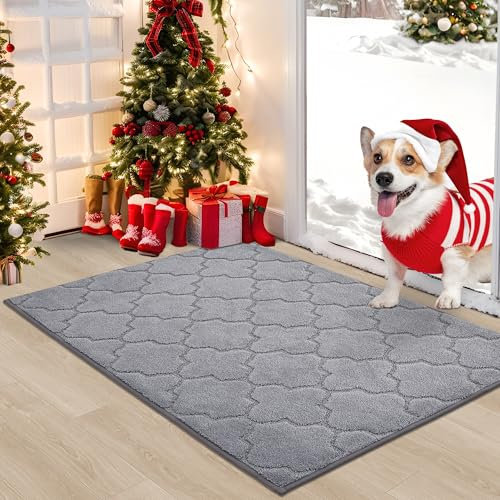 COSY HOMEER Fussmatte Innen 80 x 120 cm, Schmutzfangmatte Waschbar 1,5 cm Dicke, Eingangsteppich Sauberlaufmatte Hundeteppich Maschinenwaschbar für Flur, Küche, Hintertür, Grau