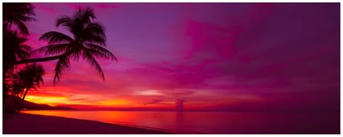 Wallario Memoboard aus Glas mit Motiv, Magnet-Tafel in 32 x 80 cm in Premium Qualität Abendrot unter Palmen - Pinker Himmel am Strand