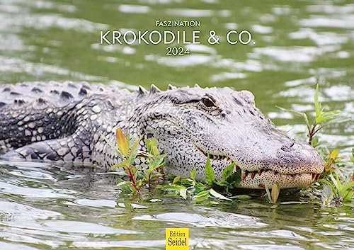 Edition Seidel Premium Kalender Faszination Krokodile & Co. 2024 Format DIN A3 Wandkalender Tierkalender Tropen Krokodil Reptilien Raubtiere Wildtiere