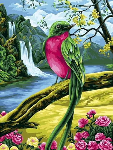 Paint by Numbers Kits for Adults,Green Bird Flowers painting by number kits On Canvas for Beginners,with Framed DIY Oil Painting Digital Acrylic Painting Arts Crafts Home Wall Decor 12x16 inch