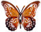 CIM Metall Wand-Deko - Schmetterling Speckled Wood Mini - 17cm - tierische 3D Wandbilder - Wandschmuck inkl. praktischer Wandbefestigung – Lebhafte Wandskulptur - Geschenkidee