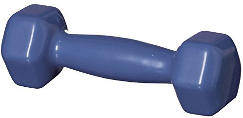 Best Sporting Vinyl Hantel 0,5-1,5 kg I Hanteln in Hellblau oder Anthrazit I Hantel mit komfortablem Griff I Mit einem Eisenkern und Neoprenüberzug I Kein Wegrollen durch kantige Griffe (0,5 kg, blau)