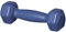 Best Sporting Vinyl Hantel 0,5 1,0 oder 1,5 kg, anthrazit oder blau (0,5 kg, blau)