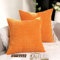 TAN.TOMI Kissenbezug 50x50, Kissenbezüge Kord Uni 2er Set, Kissenhülle Pillow Cover für Zierkissen Dekokissen Sofakissen Couchkissen in vielen Farben.