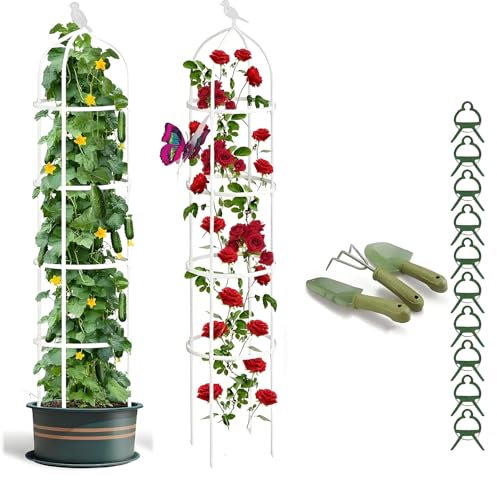 Obelisco para Flores, Jaula para Plantas Tomate, Exterior Jardín Soporte Apoyo Decorativo, Marco de Enrejado Tutor de Metal, Torre para Rosales Vertical, Te Da Una Pala(White,D25xH115CM)