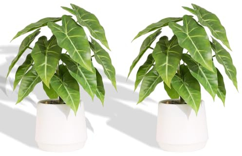 Nubry Artificial Plant in Pot (2, Sea taro) | Indoor Decor, Faux Foliage