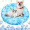 Aisuowa Kühlmatte für Katzen Hunde, Ungiftiges Kaltgelpad Kühlmatte Kratzfest Langlebiger Katzen Kühlmatte (hellblau, 40 * 60cm)