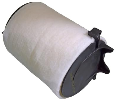 Blue Print ADV182246 Air Filter with nonwoven fabric, pack of one