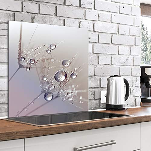 murando Glass Splashback for Kitchen Backsplash Cooker Protector Tempered Glass Decorative Wall Art Panel Heat Resistant Graphic 60x60 cm / 24x24 Flowers Dandelion Water drops b-B-0432-aq-a