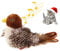 GiGwi Chirping Bird Cat Toy, Interactive Cat Squeak Toy Melody Chaser Bird Toys for Cats to Play Alone, Funny Squeak Kitten Toy for Boredom