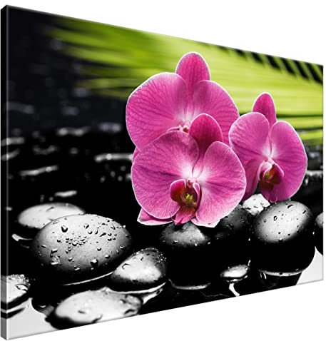 Estika Leinwand bilder - Violette Orchideen, Schwarz weiß Hintergrund - 120x80 cm, 1 teilige kunstdruck - Wandbilder wohnzimmer, schlafzimmer, Moderne wanddeko, Bild auf leinwand - 1866A_1B