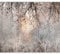 murando - Fototapete Premium-Vlies Abstrakt 350x256 cm - Foto Tapete Schlafzimmer Wohnzimmer Moderne Vliestapete XXL Wandtapete Motivtapeten Bildtapete 3d Effekt Dekoration - Bäume b-C-10084-a-a