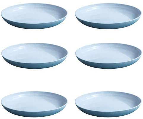 AGSYFFD Lot de 6 assiettes plates en plastique incassables de 23 cm, passent au micro-ondes et au lave-vaisselle