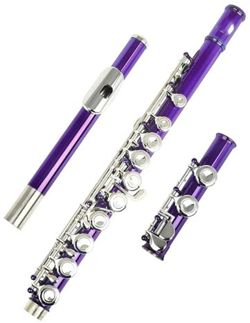 Flauto Flauto VIOLA Chiave d'argento16 Fori aperti chiusi Chiave C Flauto traverso professionale Strumento musicale da concerto
