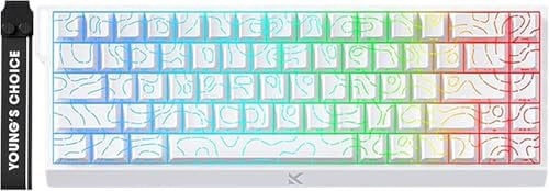 Hyekic ACE 68 60% Wired Magnetic Switch, Mechanical Gaming Keyboard with Adjustable Actuation, Quick Trigger Mode, 8000Hz Query Rate, RGB Hot Swapped Keyboard for PC/Mac Gamer, White