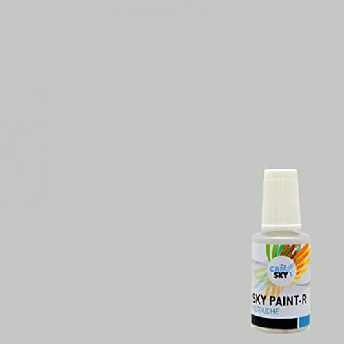 CARSKY Stylo retouche peinture carrosserie compatible avec RAL Gris Clair 7035 (flacon pinceau 20ml) + vernis brillant (flacon pinceau 20ml)