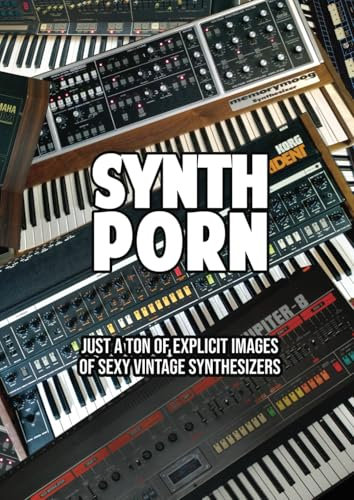Synth Porn - Just a ton of explicit images of sexy vintage synthesizers - photo book