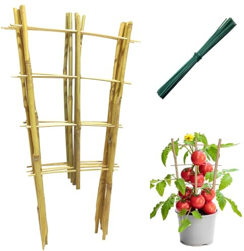 5 Pack Min Bamboo Trellis 16 Inch for Indoor Potted Plants, Fan-Shaped Support Trellis with Twist Ties for Climbing Plants Hoya Potted Plants House Plants Vine Ivy