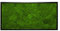 Moosbild Wandbild mit Moos, Moosplatte, versch. Maße (100% Flachmoos) (schwarz, 110x55 cm)