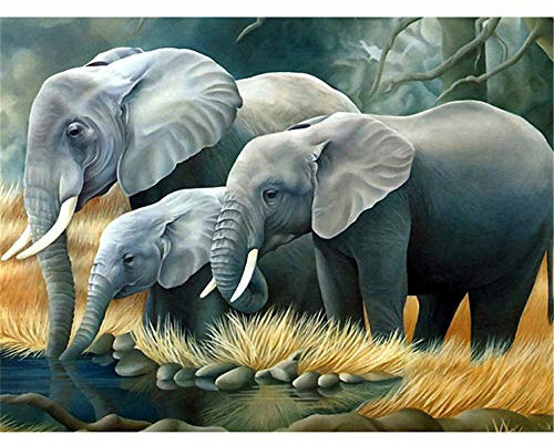 Yingxin34 Jigsaw Puzzle 5000 Teile, DREI Elefanten 5000 Stück Puzzles für Erwachsene Kinder Freunde-61.61x41.53 Zoll (156.5 x 105.5cm)