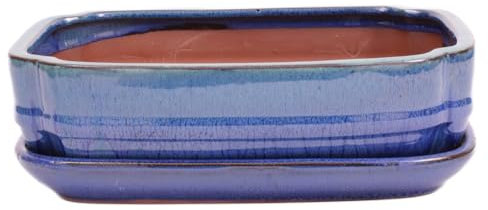 Bonsai-Shopping Bonsai - Schale eckig 27 x 20.5 x 7.5 cm, grün/blau, mit Untersetzer 31135