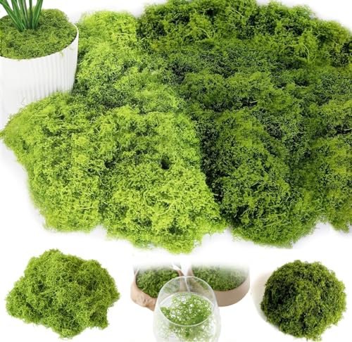 Fausse Plante Mousse Artificielle Fausse Mousse Mousse Artificielle Decoration Mousse Verte Fleuriste Lichen Stabilisé Végétaux Artificiels Stabilisée Islande Mousse (Vert Clair 50g + Vert foncé 50g)