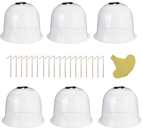 Bireegoo Lot de 6 dômes de protection réutilisables en forme de cloche en plastique pour le froid et le réchauffement du sol de jardin et des plantes en croissance, transparent
