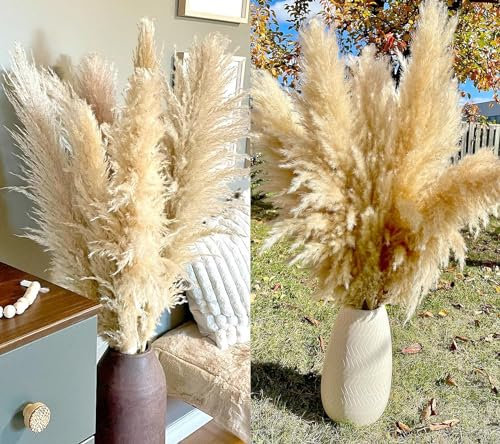 100cm 20 PCS Tiges de Pampa Naturelles Déco Haute, Pampa, Pampa Haute pour Mariage, Fête, Ferme, Décoration de Maison Boho