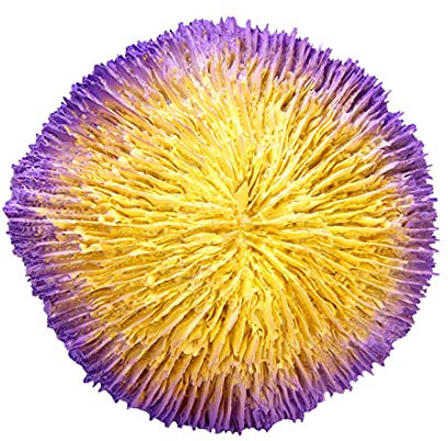 PetPhindU Piante Artificiali Coral Ornamento Acquario Resina delle Decorazioni Coral Sea Anemone Fish Tank Décor Acquario Marino Decorativo