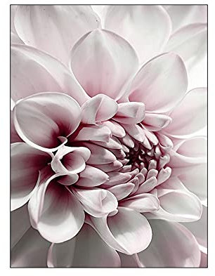 OYFFL Poster Rosa Pfingstrose Blumendruck Malerei Wandbild Moderne Wohnzimmer Dekoration Leinwanddruck Wandkunst Foto Kunst Blume Nordischen Stil (2,30x40cm ohne Rahmen)