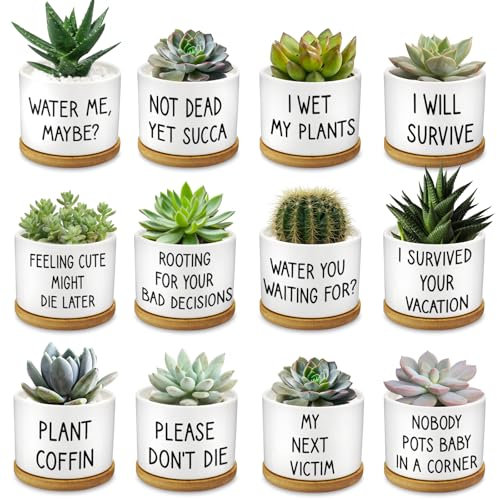 Rojuna 12 Pcs Funny Succulent Planters with Bamboo Tray White Ceramic Cute Plant Pots Funny Plant Pots for Coworker Employee,Plants Not Included