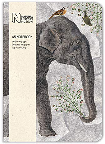 Natural History Museum Elephant A5 Luxury Notebook (14.8 x 21 cm)
