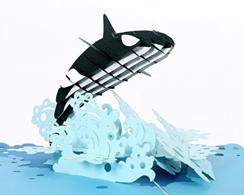 CUTPOPUP Orca Wal Karte Pop Up, 3D Geburtstagskarte Pop Up für Tochter, Sohn, Neffe, Kinder, Jugendliche, Vorschule am Geburtstag, Pool Schwimmparty, Weihnachten, Neujahr