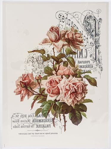 Dress My Craft Peach Roses A4 Iron-On Transfer Design Sheet