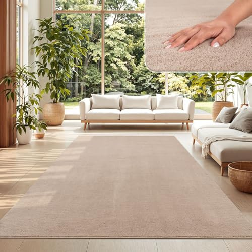 TT Home Tapis Poil Ras Tapis De Salon Monochrome Design Moderne Lavable, Couleur: Beige, Dimension:240x340 cm