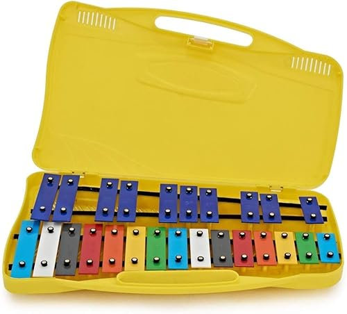 ROCKSTAR - Glockenpiel Carrillón Metalófono Xilófono SG25C2 Cromático, 25 Teclas metálicas con Estuche y Mazas. Instrumento Musical