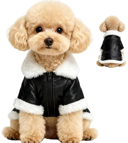 Wintermantel für Hunde, aus Leder, warm gefüttert, für kleine Hunde, winddicht (Brustumfang 45 cm), passend für 3,2–5 kg, Schwarz