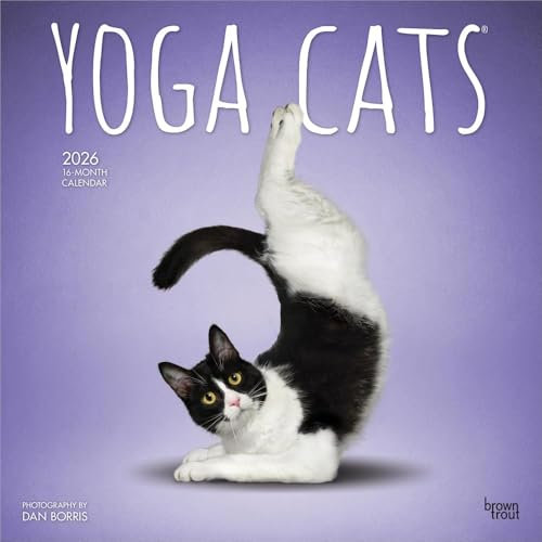 Yoga Cats – Katzen Yoga 2026 – 16-Monatskalender: Original BrownTrout-Kalender [Mehrsprachig] [Kalender] (Wall-Kalender)