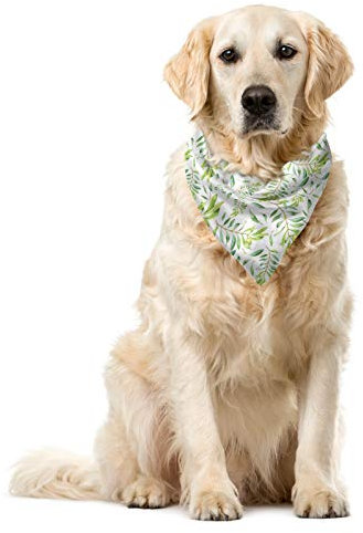 ABAKUHAUS Grünes Blatt Haustier Bandana, Olivenbaum, 40x40 cm, Avocado-Grün